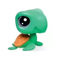 CAPTAIN GILTURTLE