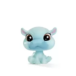 CARLIE HIPPOCAMPO