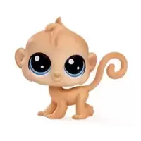 CLICKS MONKEYFORD