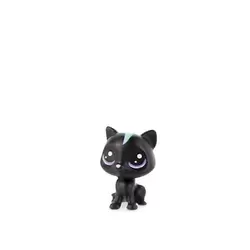 CLOUDY COALCAT