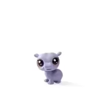 HY POTAMUS