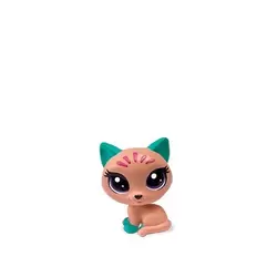KITTY CATTERMORE