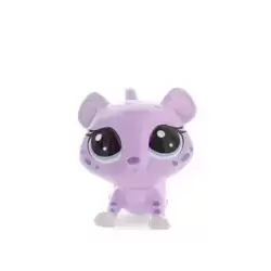LOLLY SNOWSPOTS