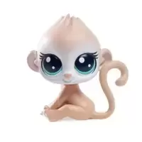 MIMSY MONKEYFORD