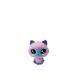 MINX KITTENCAT