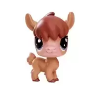NITA ALPACO