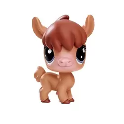 NITA ALPACO