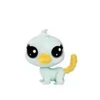 PAMMY PLATYFOOT