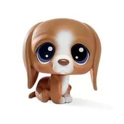 ROVER HOUNDER