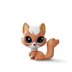 ROWDY REDFOX