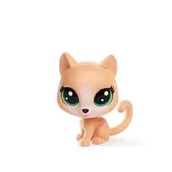 WHISKERS CATTERLY