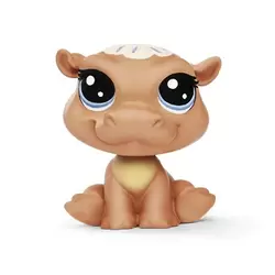 COOKIE HIPPOMONT