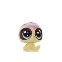 CRUMBLE SLOTHFUL