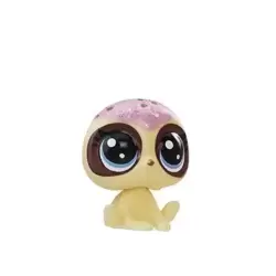 CRUMBLE SLOTHFUL