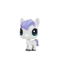 DASH HORSETON