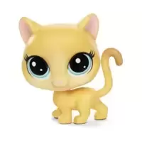 DINA KITTY