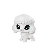 LUCIE LA POODLE