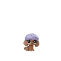 MOUSSE LE POODLE