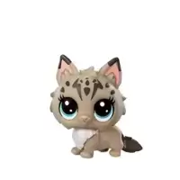 RAY TORTICAT