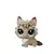 RAY TORTICAT