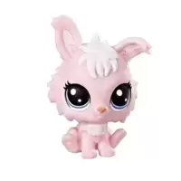 VIERA ANGORA