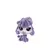 MINETTE DAZZLEBY