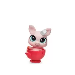 PIG IN A RED TEACUP