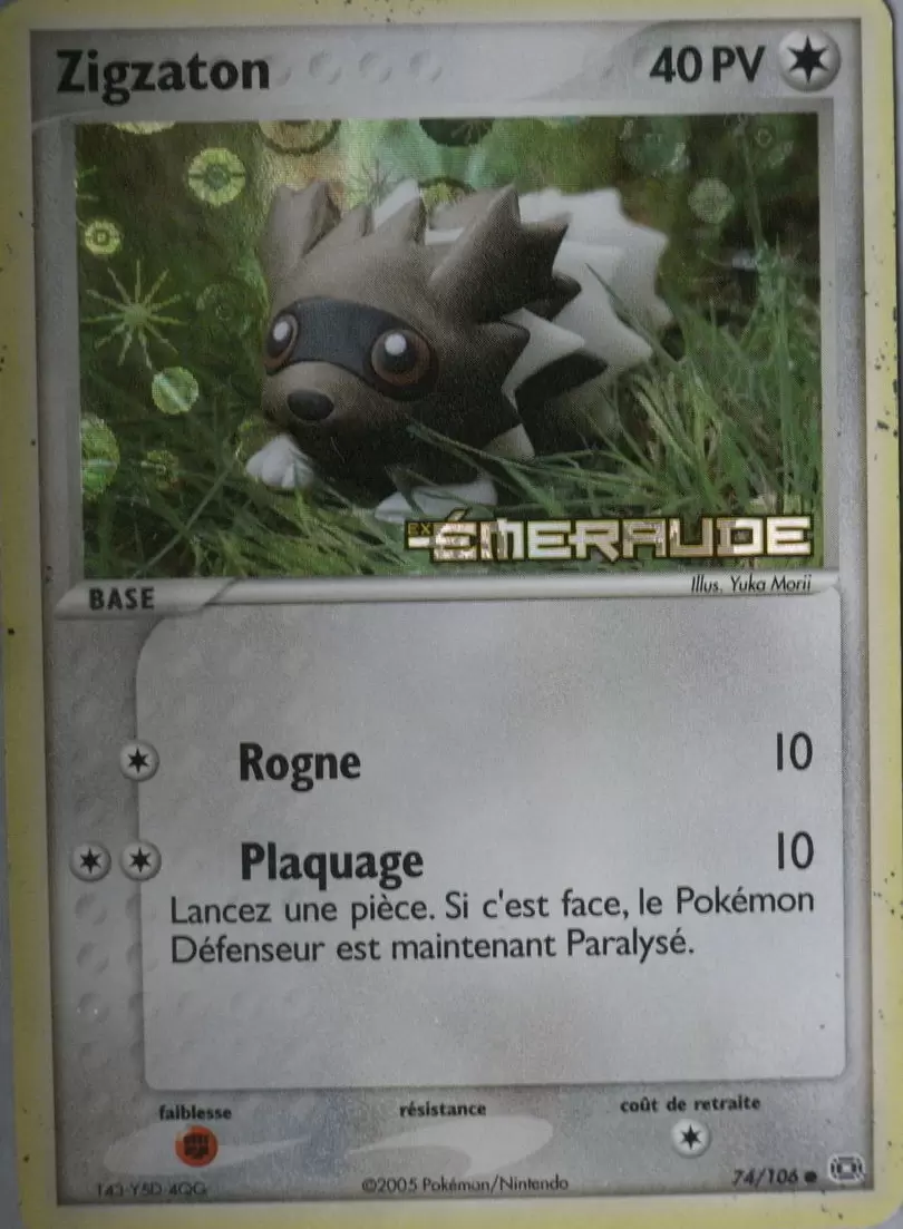 EX Emeraude - Zigzaton holographique Logo