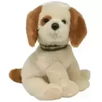 Boomer
