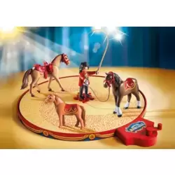 Dressage de chevaux cirque Roncalli