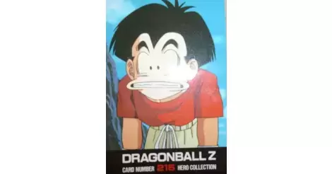 Dragon Ball Z Hero Collection 215