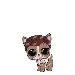 Sleepy Barky