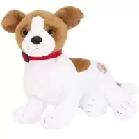 Kippy