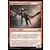 Dragonnet escouflenfer