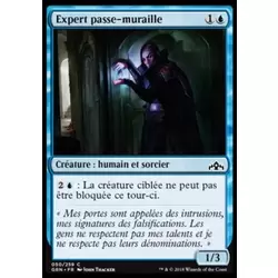 Expert passe-muraille