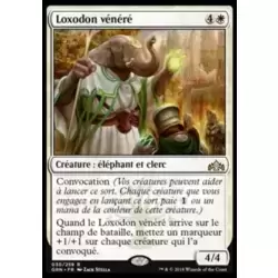 Loxodon vénéré