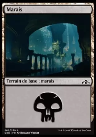 Les Guildes de Ravnica - Marais