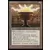 Graal solaire