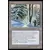 Ere Glaciaire - Contrefort forestier