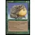 Ere Glaciaire - Crapaud butor