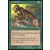 Insecte mortel