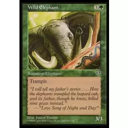 Éléphant sauvage