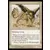 Griffon de la Térëmko