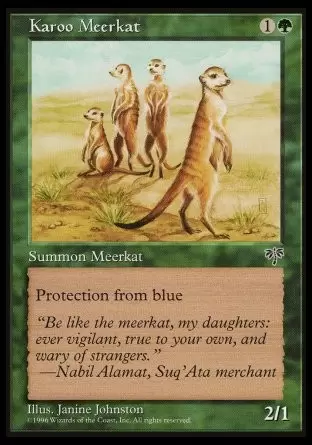 Mirage - Suricate du karroo