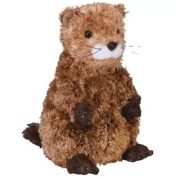Ty Plushes Original - Punxsutawney Phil