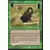 Cartographe Foil