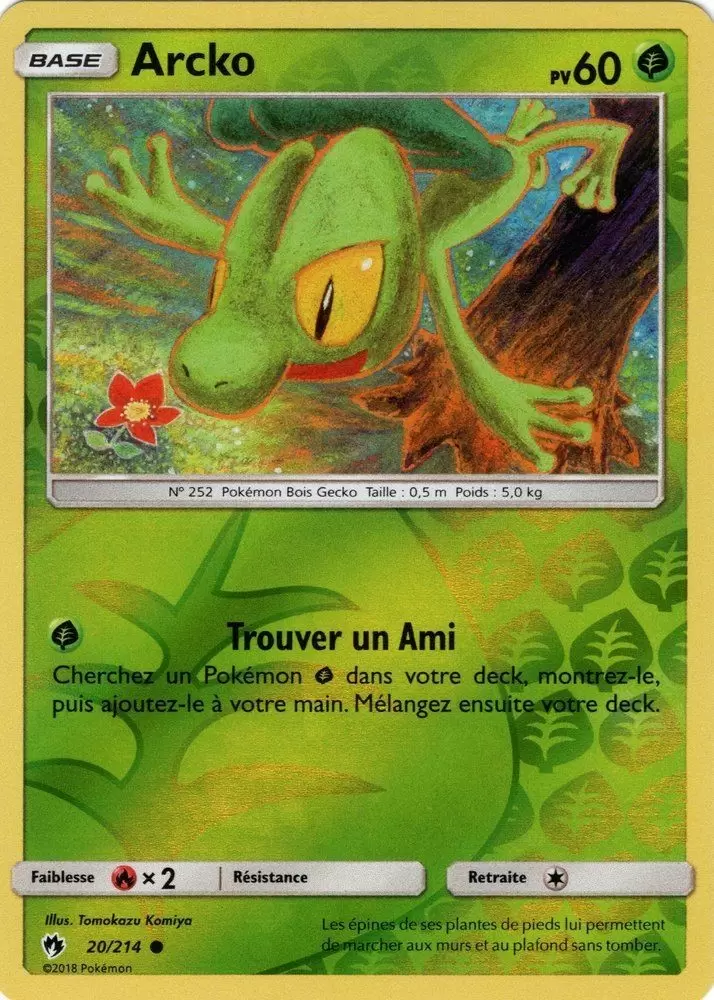 Tonnerre Perdu - Arcko Reverse