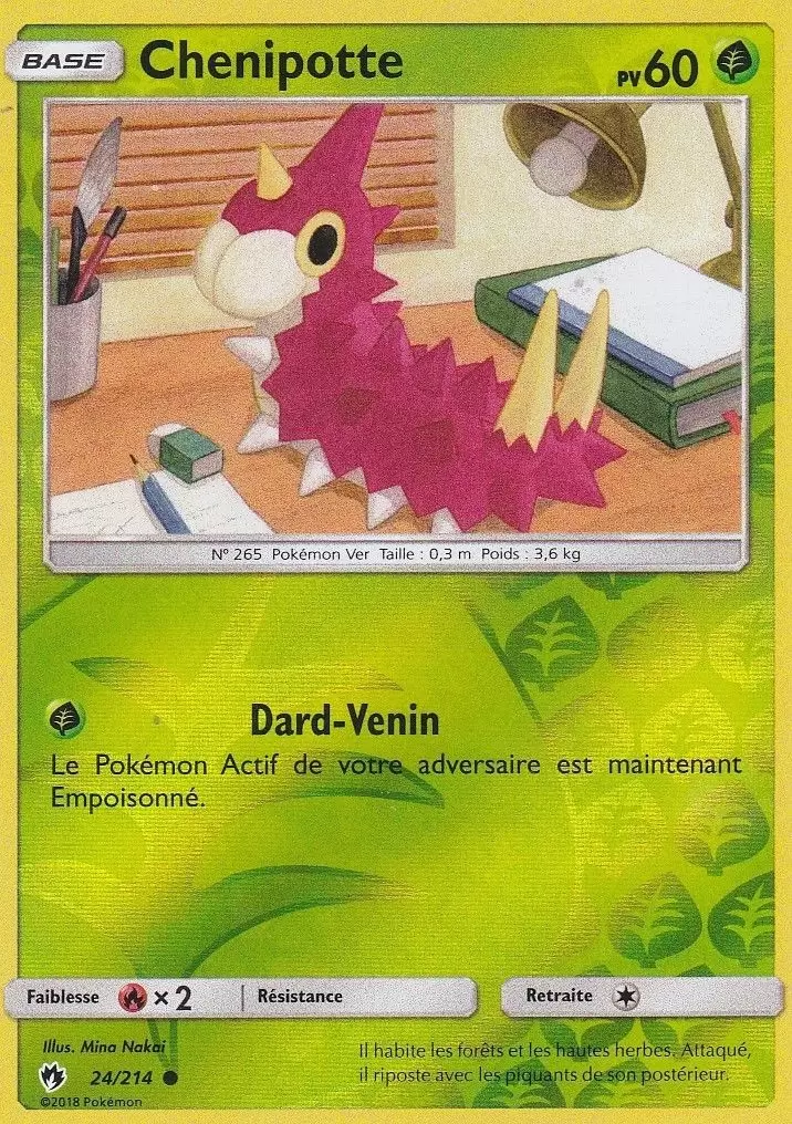 Tonnerre Perdu - Chenipotte Reverse