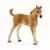 Horse Club - Les Soins pour bébé Animaux