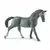Jument Trakehnen